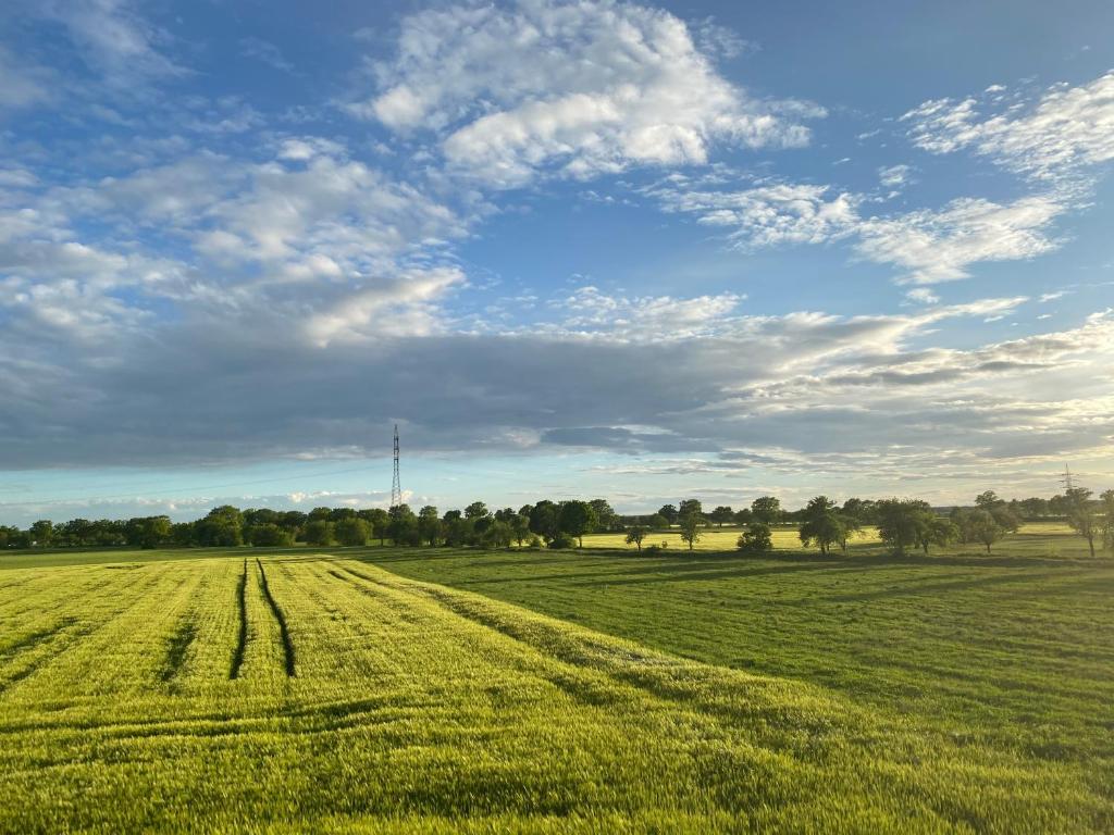 een veld van groen gras met een bewolkte hemel bij Ferienwohnung Bock im Seenland in Hoyerswerda