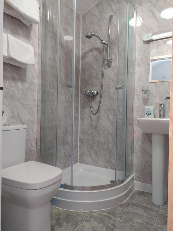uma casa de banho com um chuveiro, um WC e um lavatório. em Frosty Towers em Llandudno