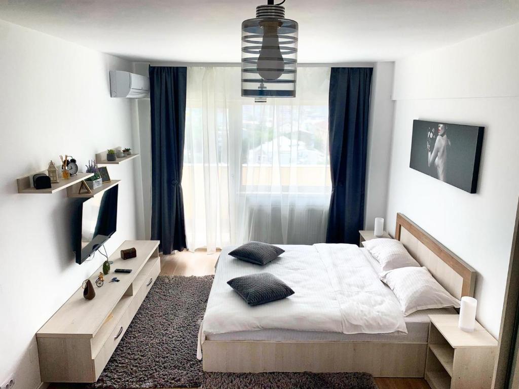 a bedroom with a bed and a tv and a window at Conest Vision Studio in Iaşi