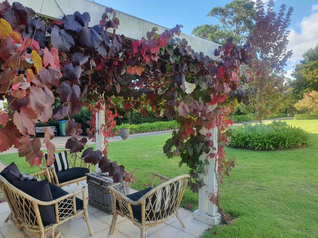 a pergola covered in ivy with chairs in a yard at The Cottage in Mount Eliza