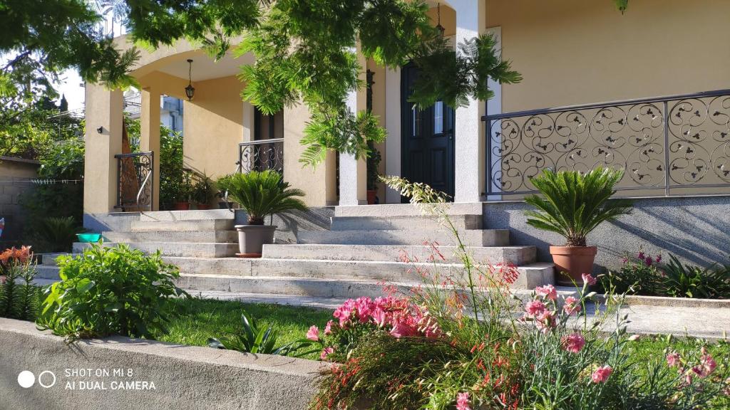 a house with a blue door and some plants at Gloria Apartments in Herceg-Novi