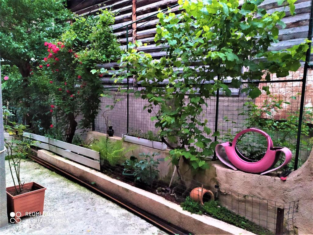 Jardí fora de Irakli Guesthouse