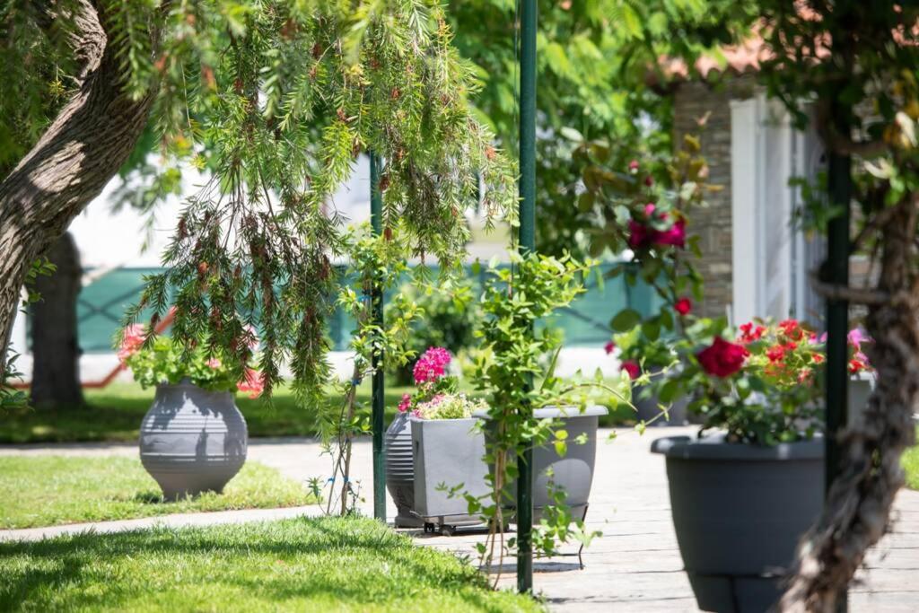 Zahrada ubytování NUESTRO JARDÍN