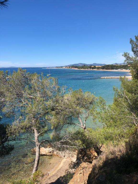 a view of a beach with trees and water at Studio L’ARGENTIERE PLAGE in La Londe-les-Maures