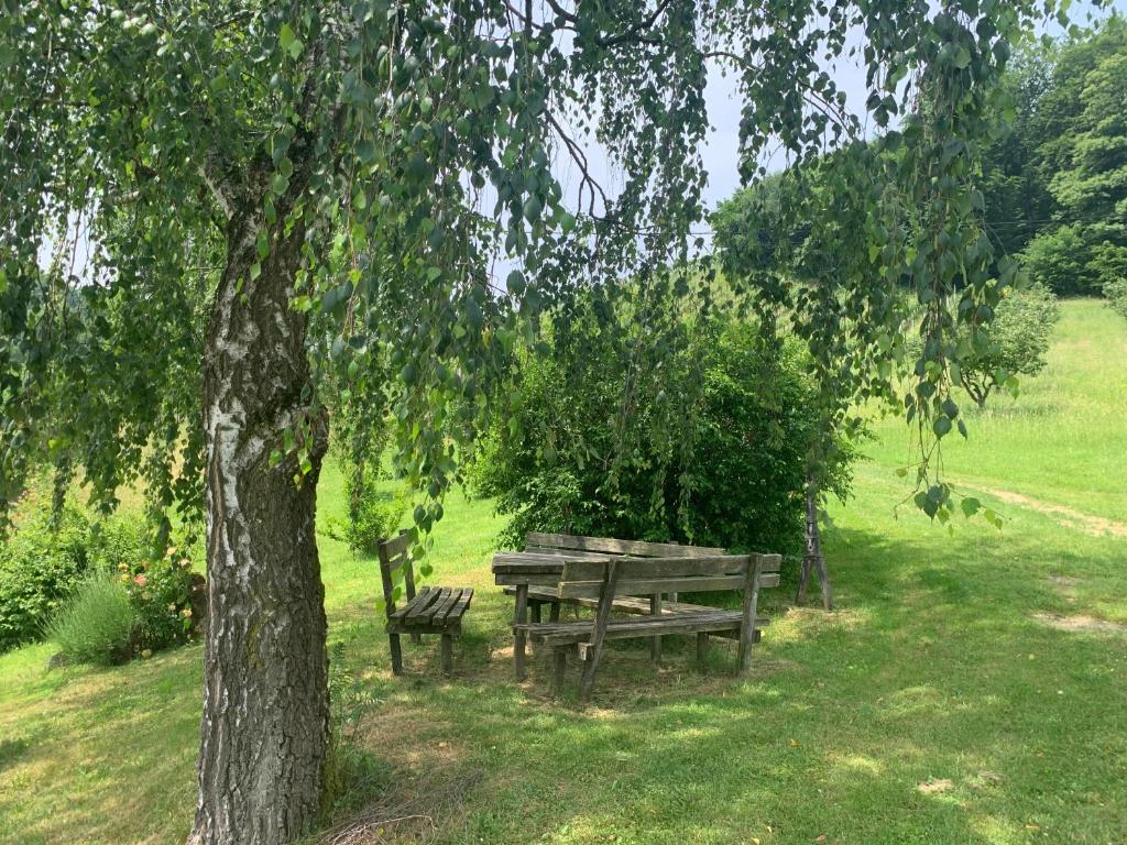 a picnic table and bench under a tree in a field at Koschak Wirt & Weinbauer in Heimschuh