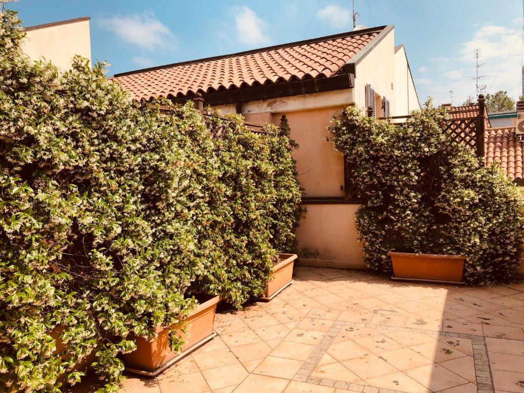 a group of plants in pots in front of a house at CASA CENTRO STORICO RIMINI in Rimini