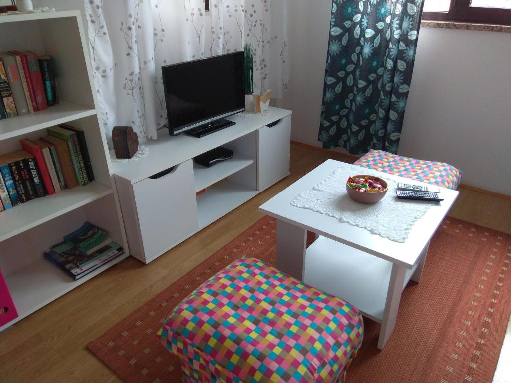 Televízia a/alebo spoločenská miestnosť v ubytovaní Apartment Nebo