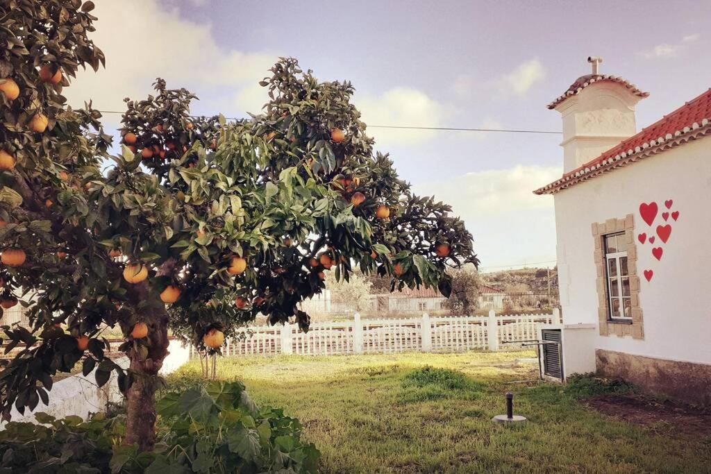 un albero di arancio in un cortile accanto a un edificio di Casa dos Corações - Turismo Regenerativo a Beirã