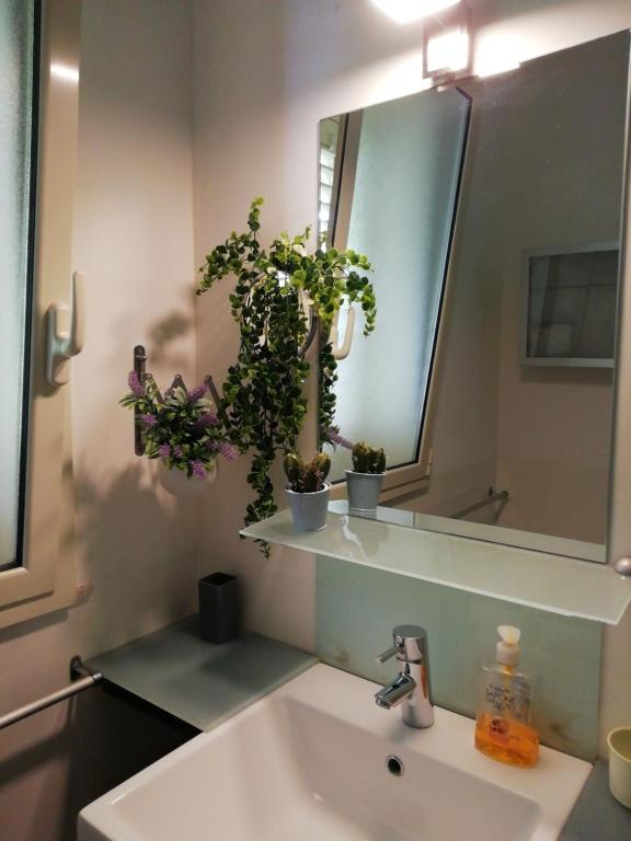 a bathroom sink with potted plants on a mirror at lo zahir in Marina di Ragusa