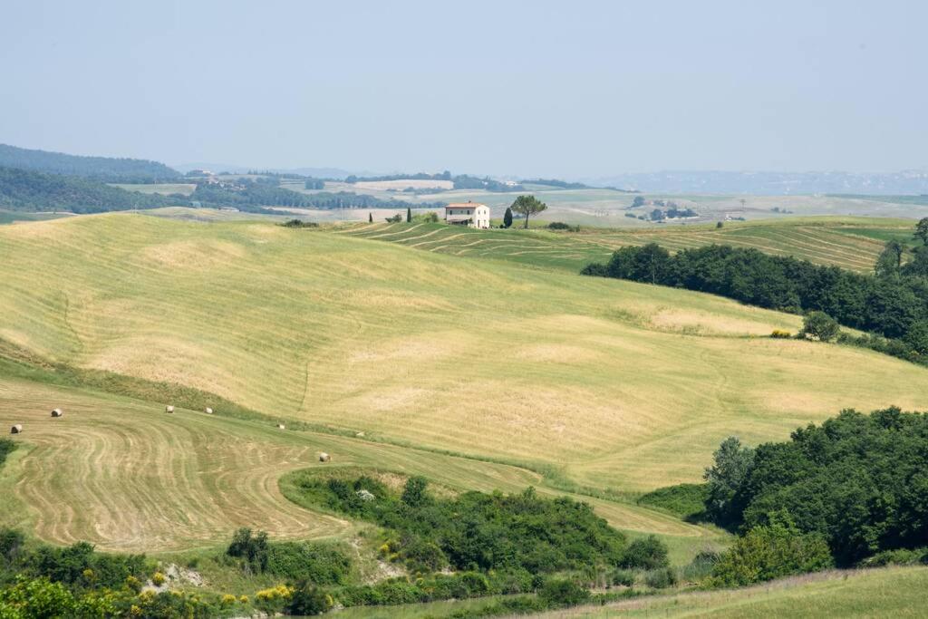 un campo verde con animales pastando en una colina en Sant'Ilaria - private 2 bdrs pool villa, en Villa Montesoli