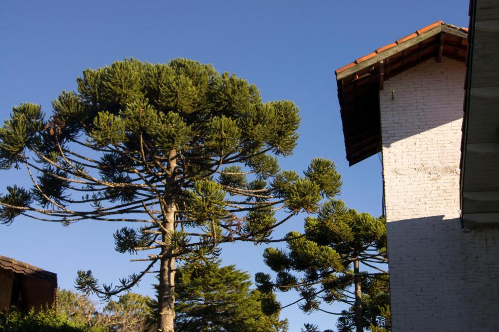  Pousada Locanda Belvedere