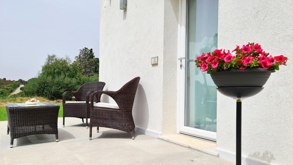 a patio with chairs and a planter with flowers at Sole Matto Rooms in Olbia