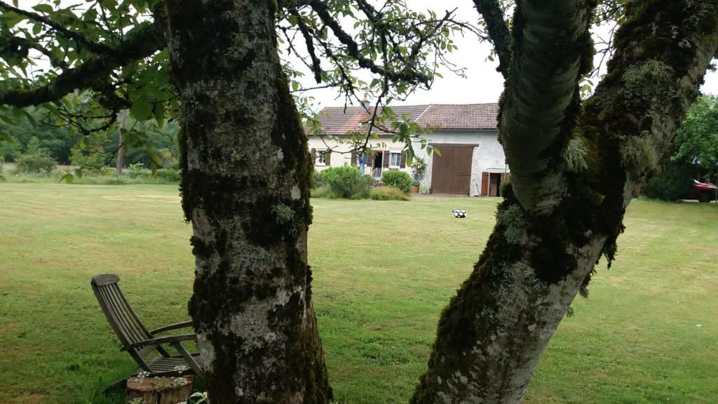 Un jardín fuera de Chambre d'hôte Le Châtaignier