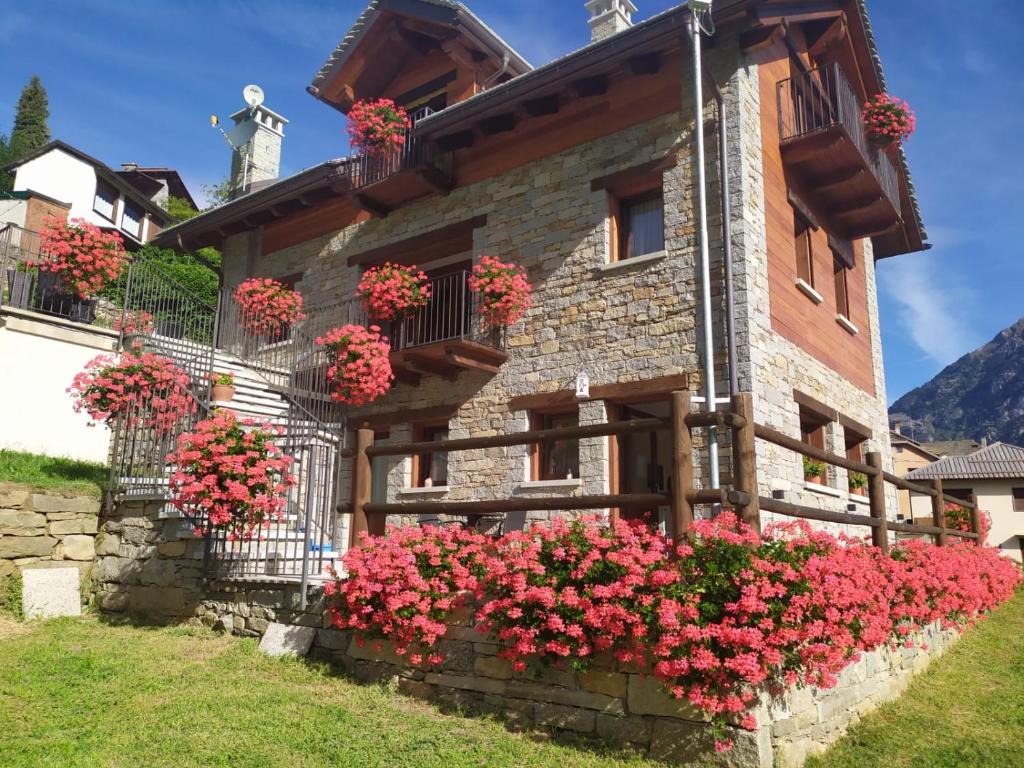 Zahrada ubytování B&B ul calus