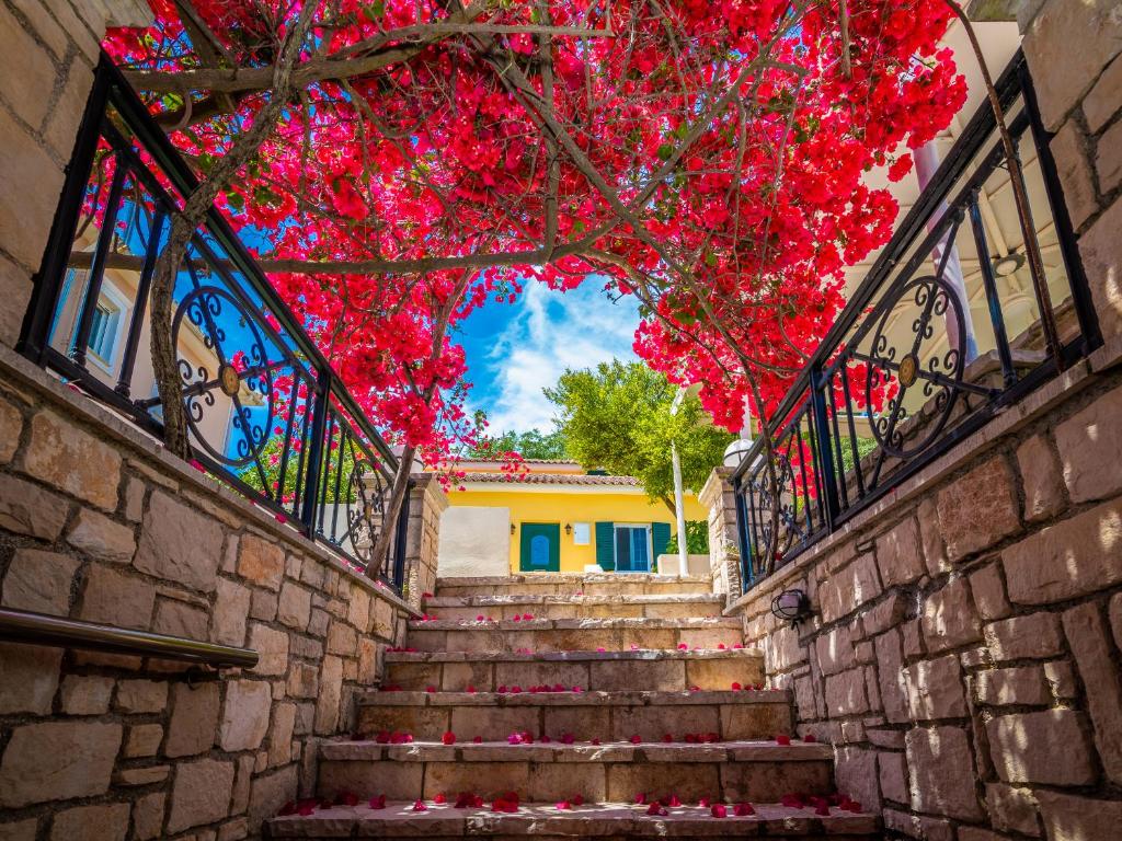 Fotografie z fotogalerie ubytování Avrochares Villa v destinaci Zakynthos Town