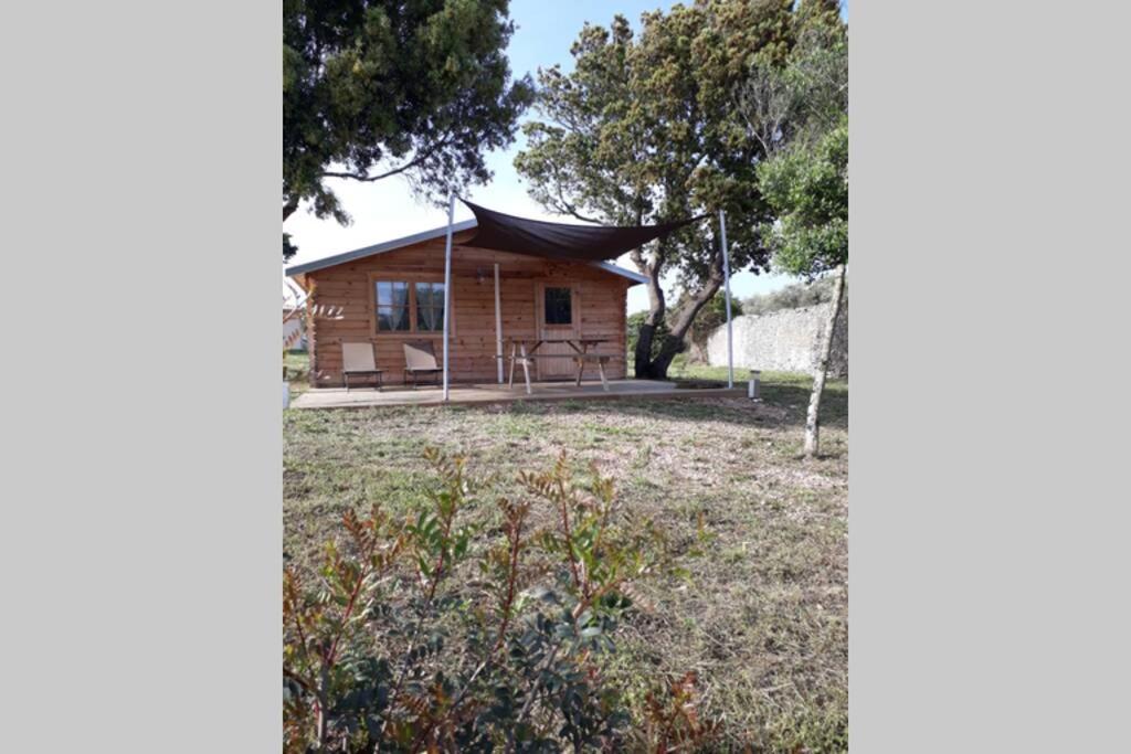 une cabane en rondins avec une terrasse couverte et une cour dans l'établissement Chalet Climatisé SANTA MARIA à Bonifacio, à Bonifacio