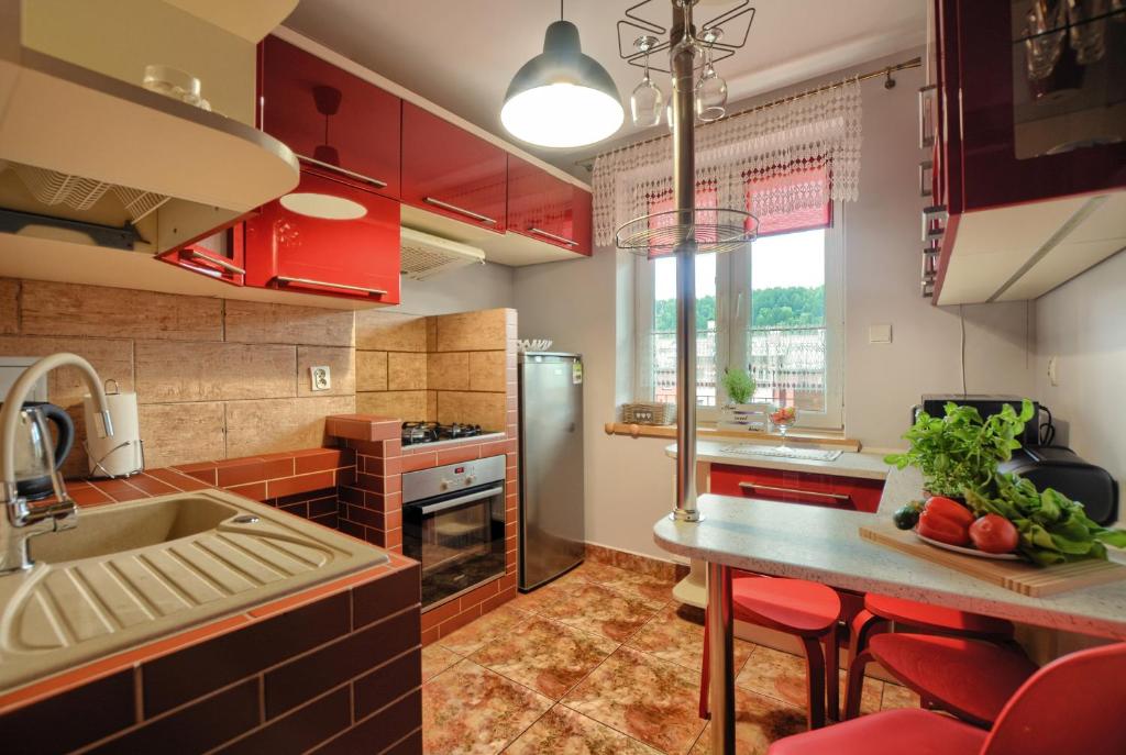 Kuchyňa alebo kuchynka v ubytovaní Apartamenty BIESZCZADZKI Anioł