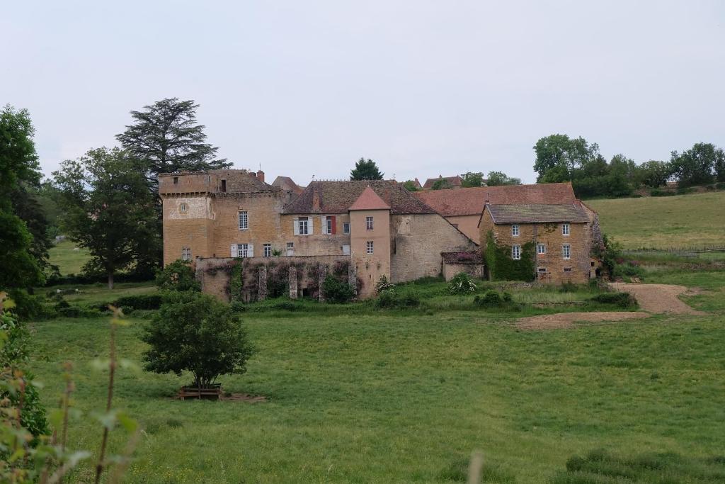 ein altes Haus auf einem Feld mit einem Baum in der Unterkunft Le Gros Chigy Château in Saint-André-le-Désert