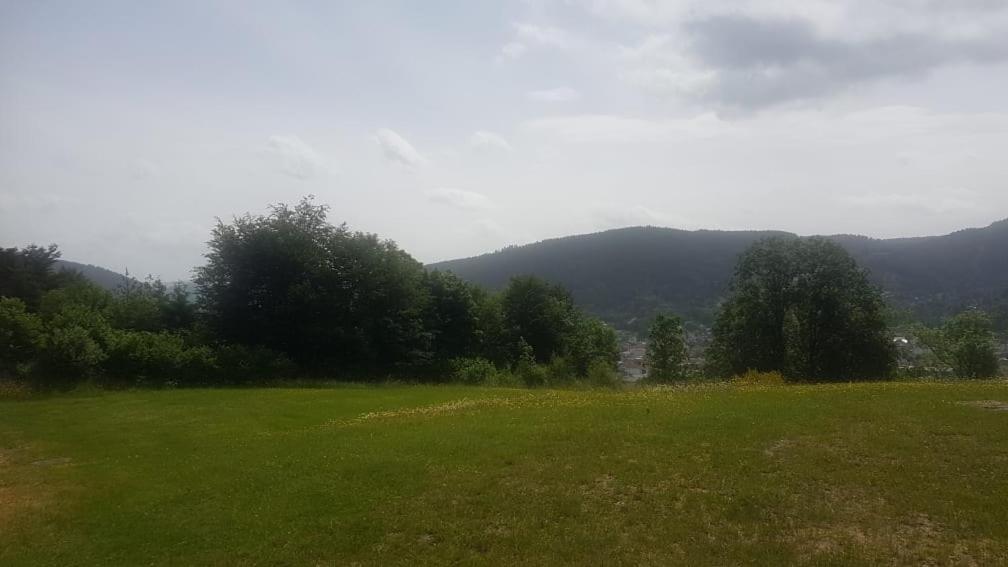 LOCATION STUDIO GERARDMER 4 PERSONNES VUE MONTAGNE