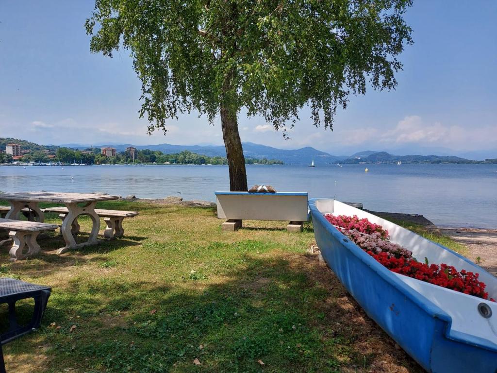 un parco con panchina, tavolo e albero di Bnbook Lago Maggiore Studio a Castelletto sopra Ticino