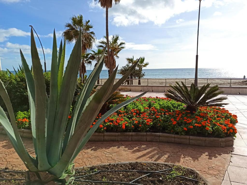 Apartamento vacacional paseo marítimo Estepona