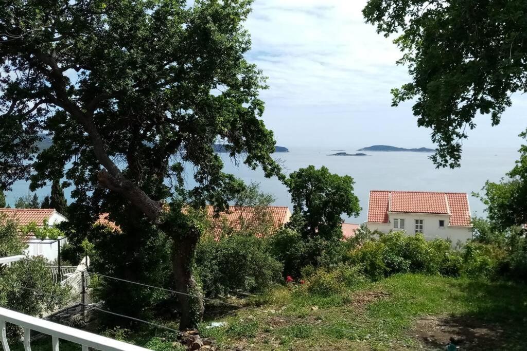 Príroda v okolí apartmánu