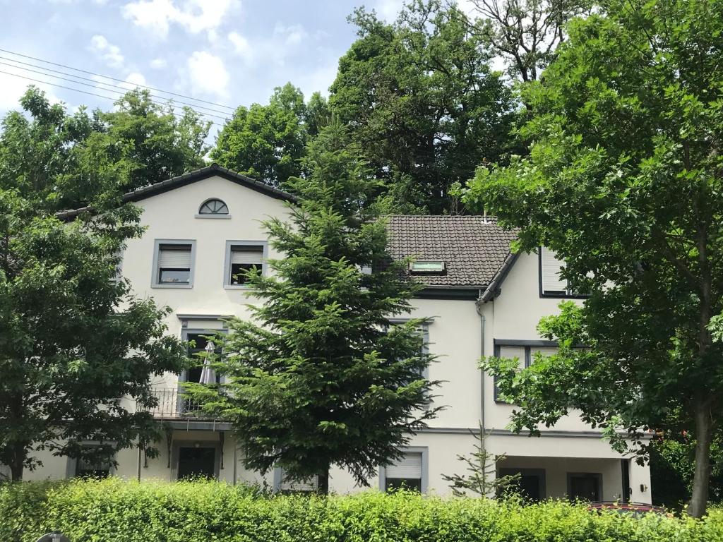 a white house with trees in front of it at S-VILLA Apartments im Schwarzwald in Schiltach