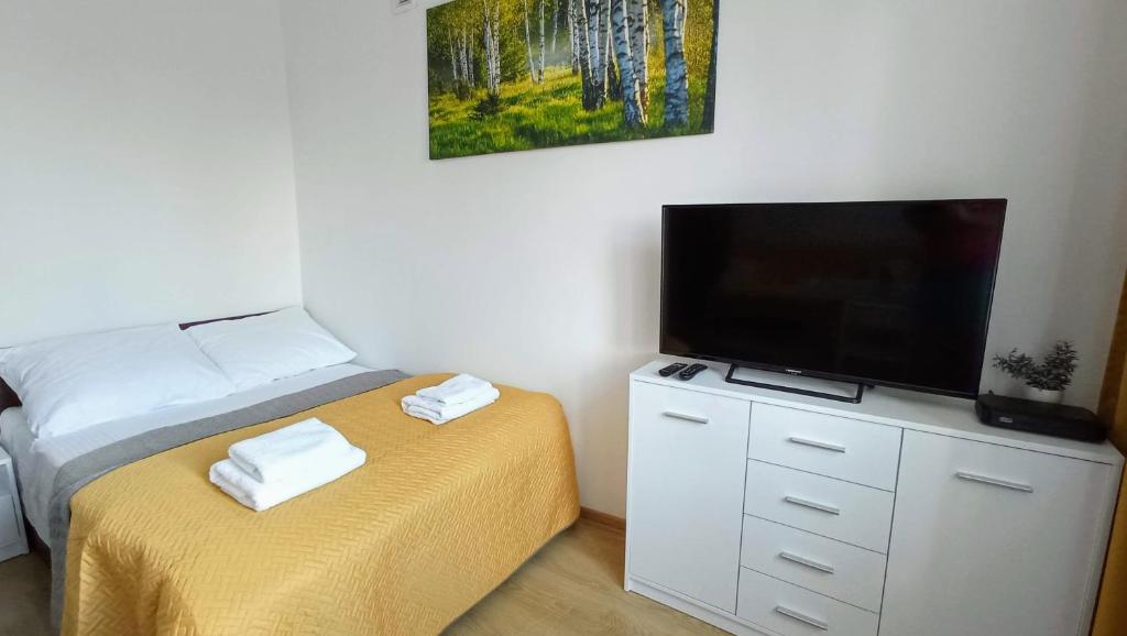 a bedroom with a bed and a flat screen tv at Apartament Orzysz "Żabi Staw" in Orzysz