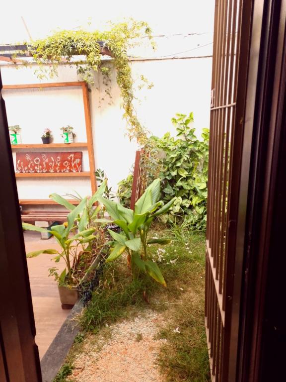 Hobi Hostel AeroportoCongonhas