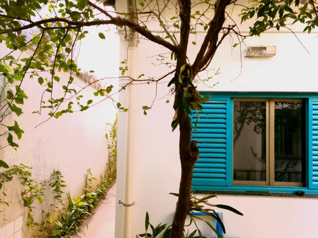  Hobi Hostel AeroportoCongonhas