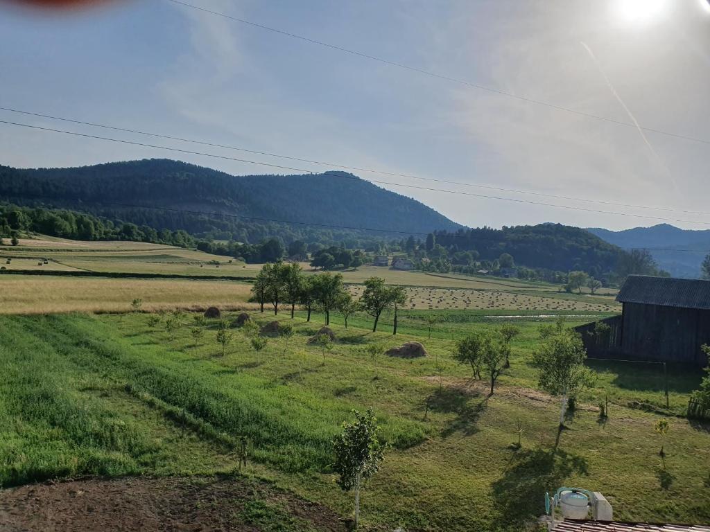 Príroda v okolí apartmánu