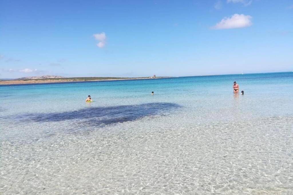 a group of people in the water on a beach at Stintino sardegna delizioso bilocale vista mare in Stintino