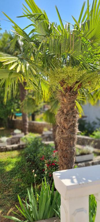 un palmier assis à côté d'un banc blanc dans l'établissement Apartment Garden & Sea, à Volosko