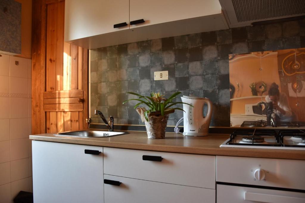 Kuchyňa alebo kuchynka v ubytovaní Apartment Lisema
