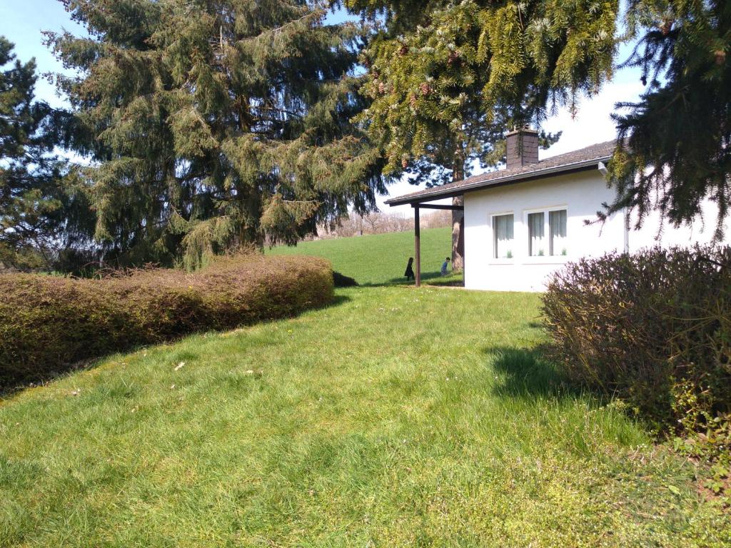 ein weißes Haus mit einem Baum und einem Hof in der Unterkunft Maja am See in Biersdorf