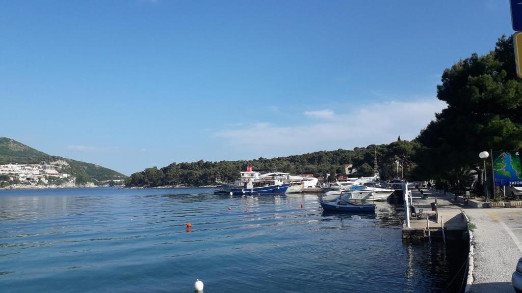 Príroda v okolí penziónu