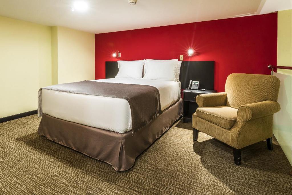 Urban Green Hotel & Suites - Junior Suite