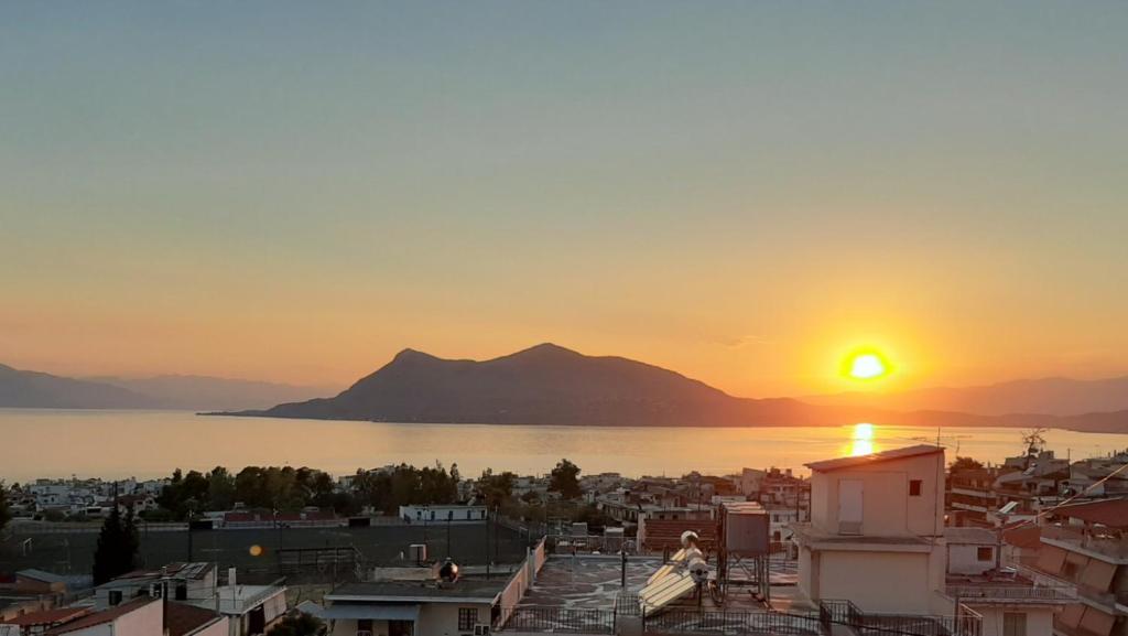 ΖΑΡΙΦΗ ΣΤΑΜΑΤΙΝΑ Ενοικιαζόμενα Διαμερίσματα