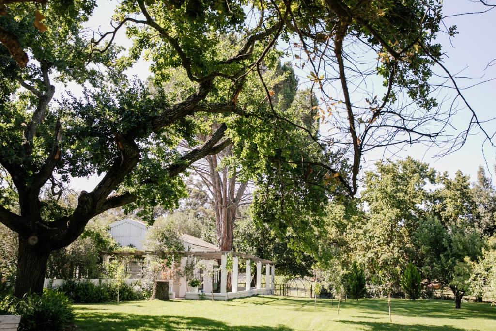 a view of a house with trees and grass at Montpellier de Tulbagh in Tulbagh