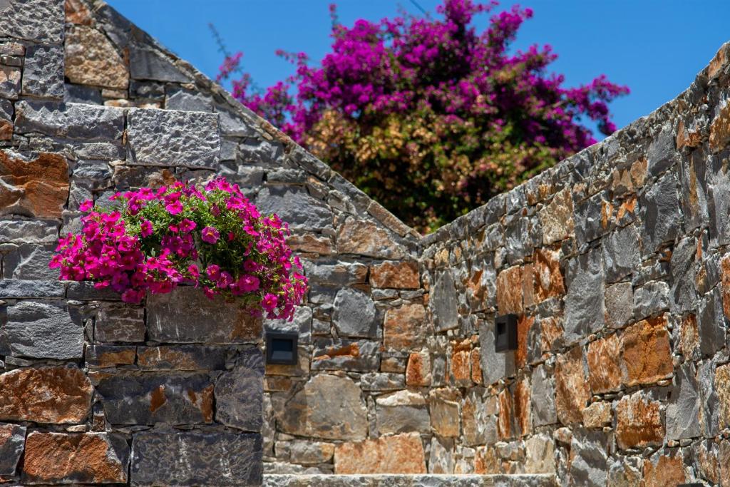 Fotografia z galérie ubytovania Pakio Luxury Villa : Private Cretan Holidays v destinácii Milatos