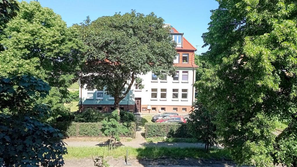 Zahrada ubytování Zielona Kamienica Gdańsk