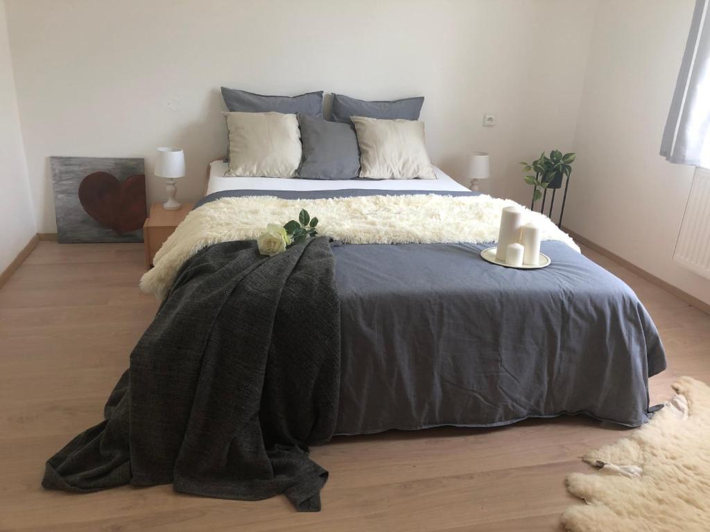 a bedroom with a bed with a black blanket at Apartmány Jevany in Jevany