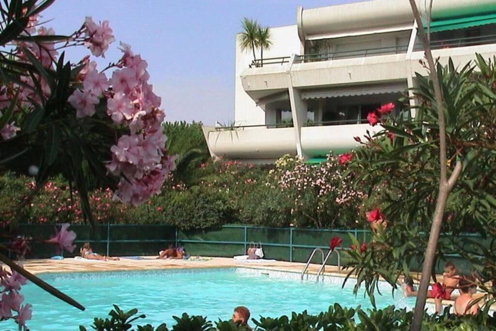 Suberbe T2 climatisé avec piscine et jardin de 150m2