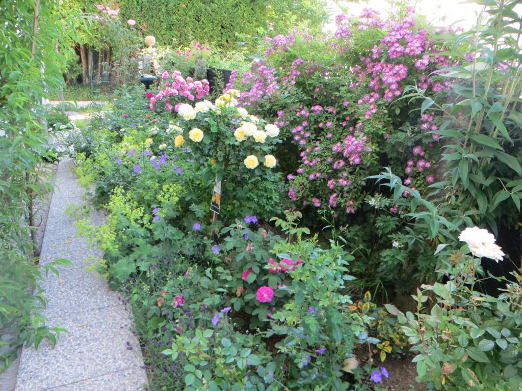 A garden outside City Apartment Amadeus