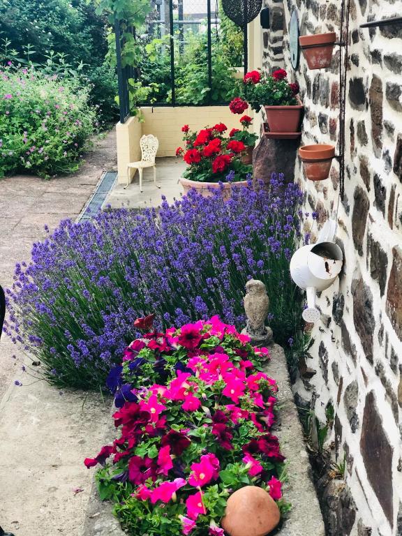 Zahrada ubytování Frenes B&B