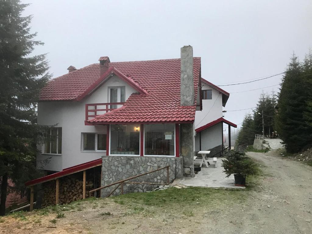 une grande maison blanche avec un toit rouge dans l'établissement Vila Carla Elena Ranca, à Rânca