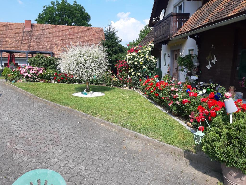 Zahrada ubytování Gästehaus Zur schönen Aussicht