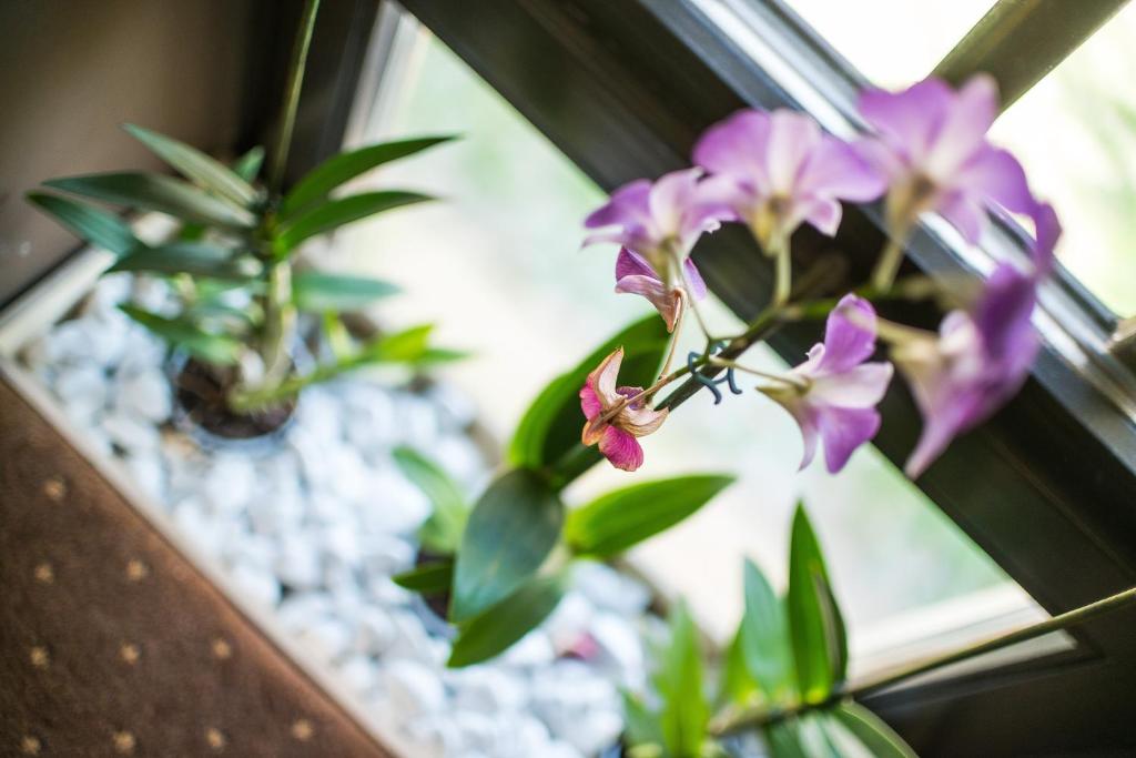 Hotel Fürdoház - Resim 34