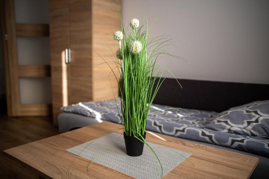 a vase with grass on a table in a room at Noclegi u Moniki in Janowiec Wielkopolski