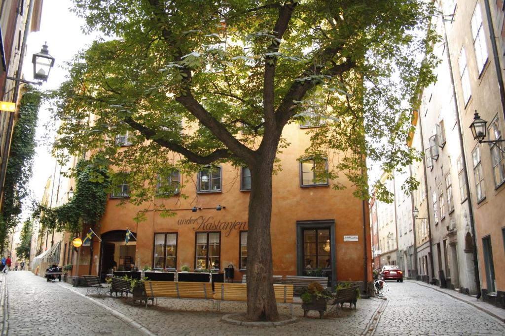 ein Baum vor einem Gebäude auf einer Straße in der Unterkunft Castanea Old Town Hostel in Stockholm